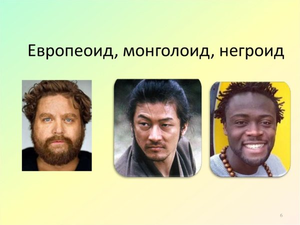 Европеоид монголоид негроид