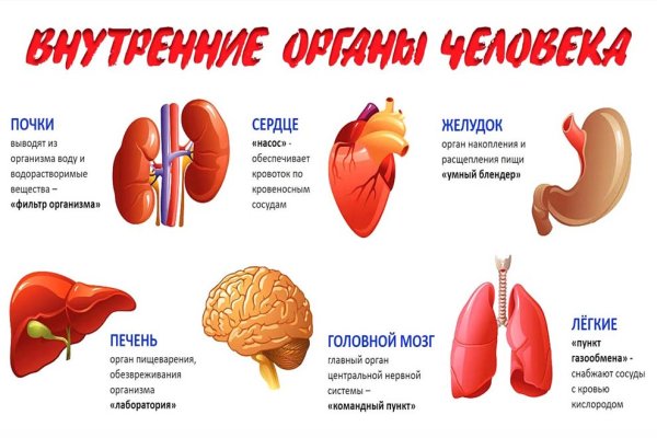 Органы человека