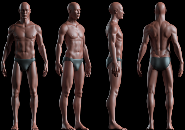 Male body basemesh