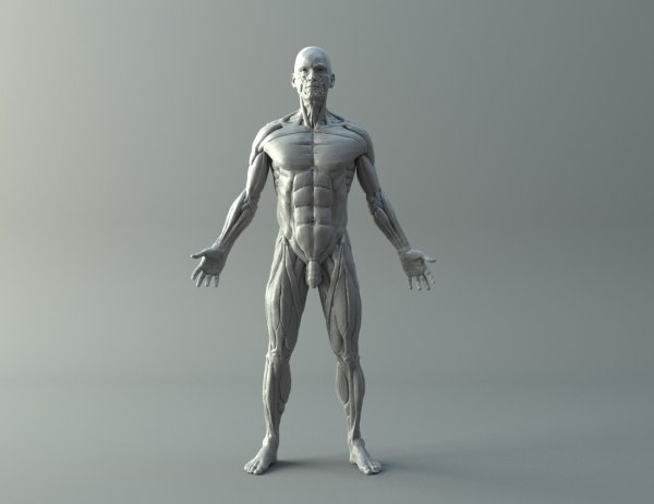 3d модели для 3d принтера амонг АС