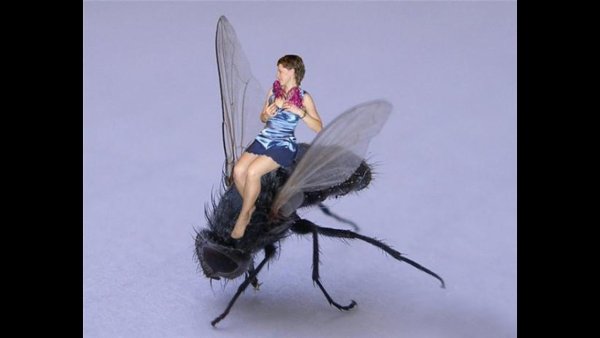 Девушка Муха