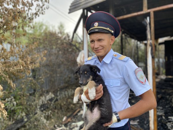 Полицейский человек