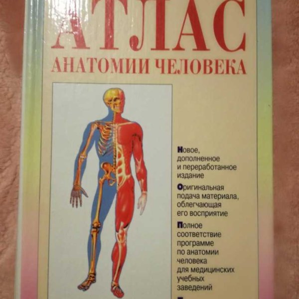 Анатомия человека учебник