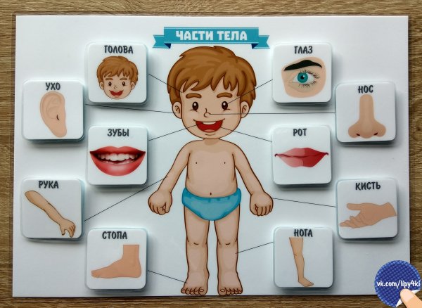 Дидактическая игра части тела на липучках