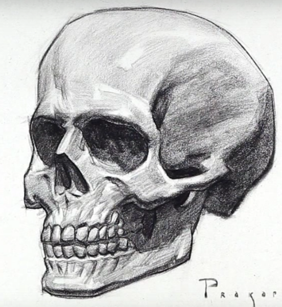 Череп рисунок карандашом