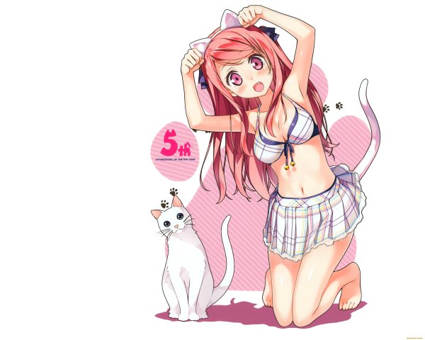 Кошка девочка