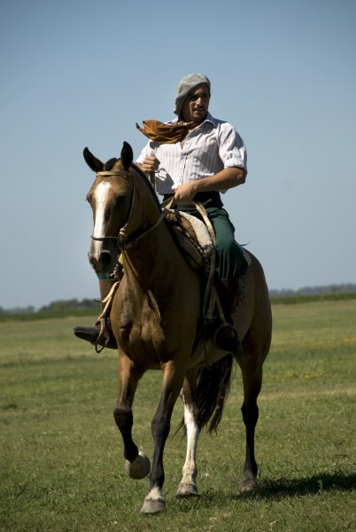 Всадник на коне