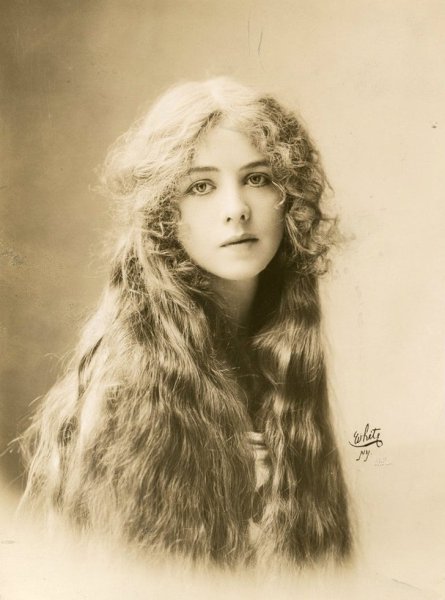 Maude Fealy