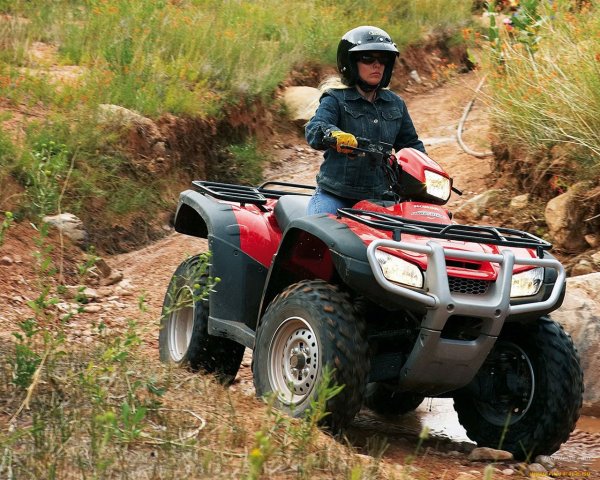 Квадроцикл Yamaha Grizzly