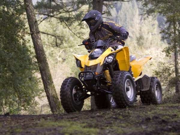 Квадроцикл can-am DS 250