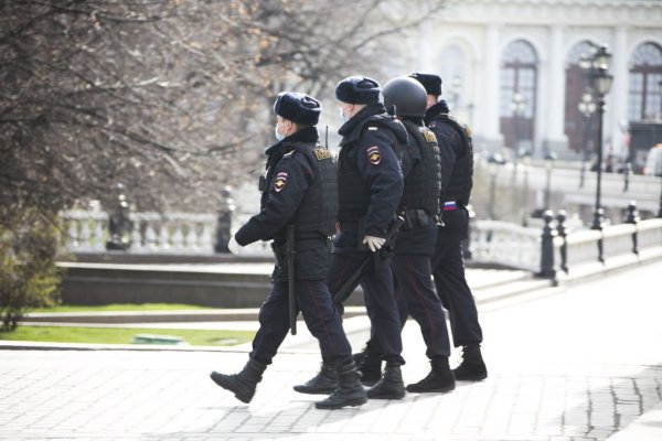 Патруль полиции