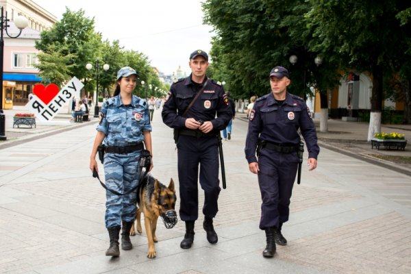 Полиция России патрульно постовая служба