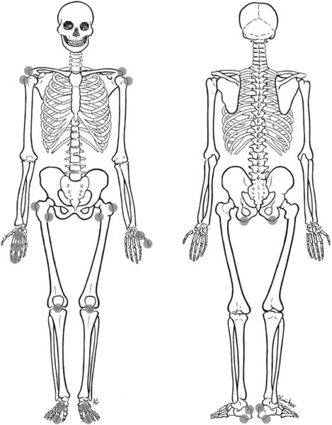 Картинки скелет человека (47 фото)