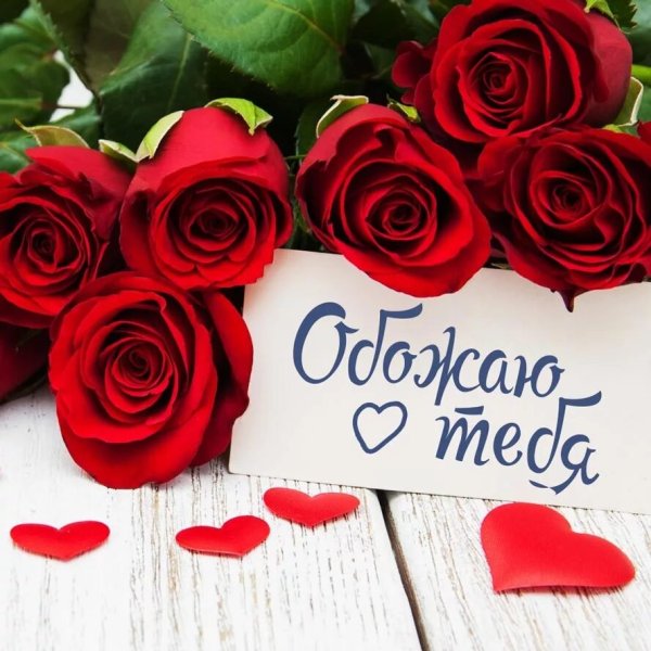 Красные розы фон