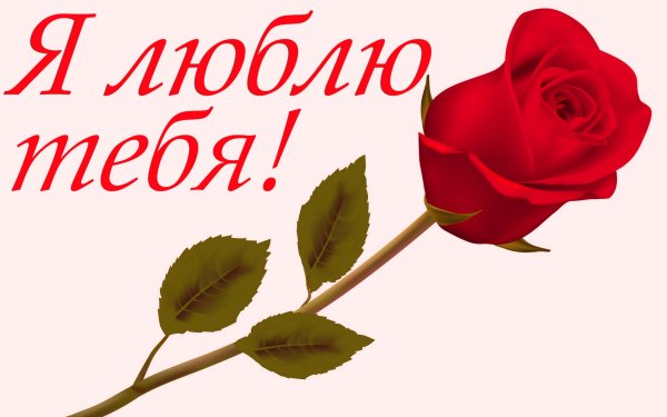 Признание в любви девушке