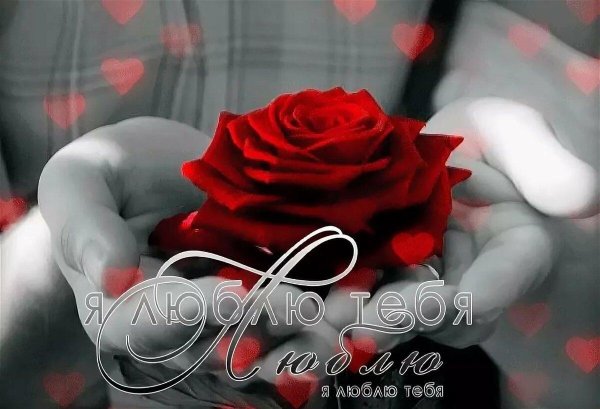 Люблю тебя гифки