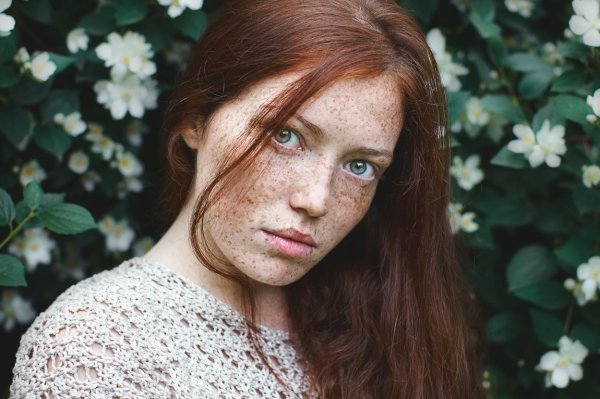 Freckles Эвелина Лашук