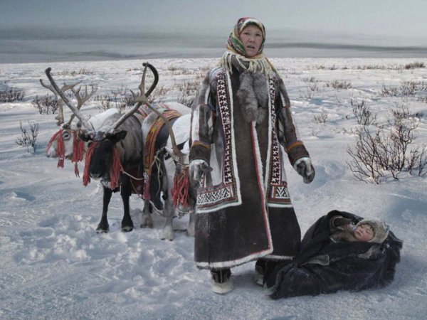 Ненцы в тундре