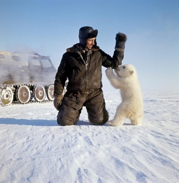 Александр Полярник