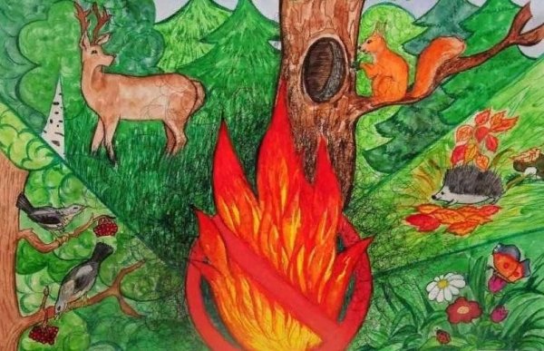 Берегите лес от пожара рисунки