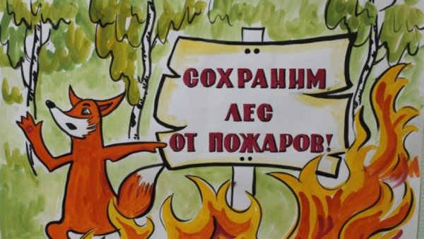Берегите лес от пожара рисунки