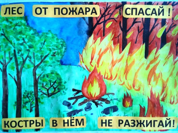 Береги лес от пожара