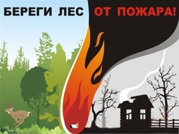 Плакат берегите лес от пожара