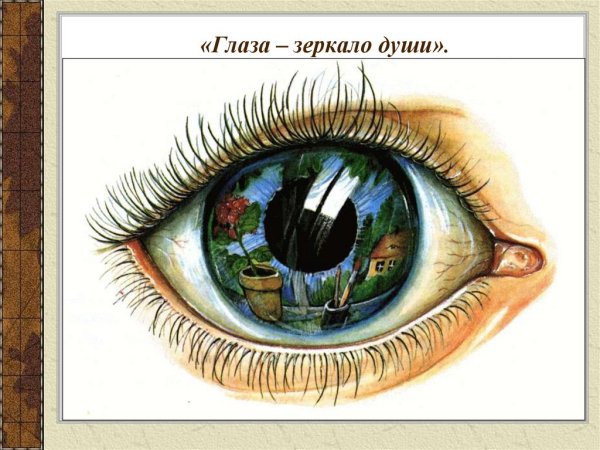 Глаз человека