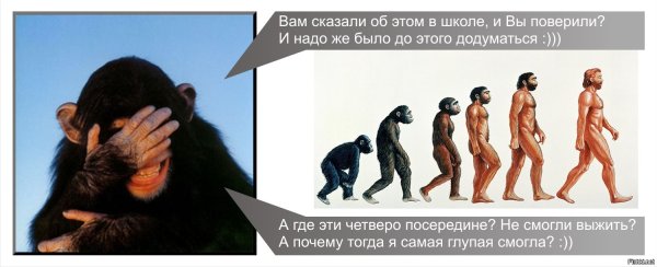 Человек произошел от обезьяны