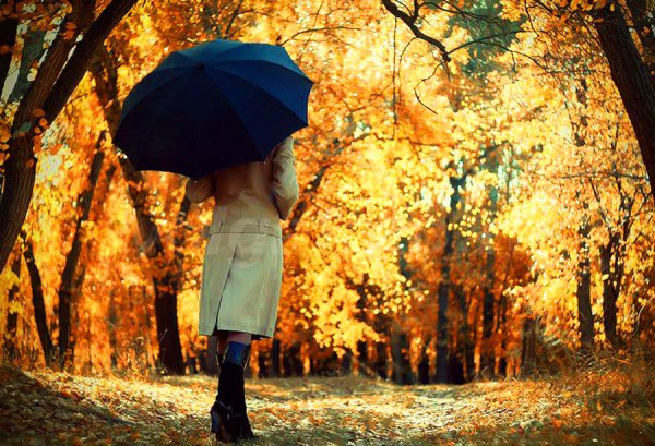 Картинки “Осень, девушка с зонтом” (46 фото) - жк-вершина-сайт.рф
