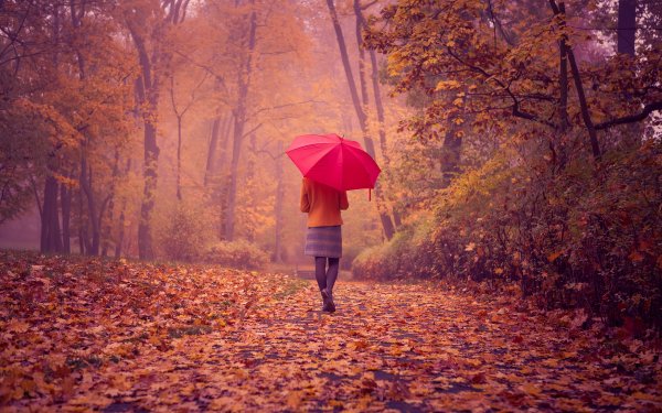 Картинки девушка с зонтом осень (50 фото)