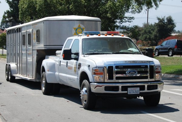 Пикап Ford lasd