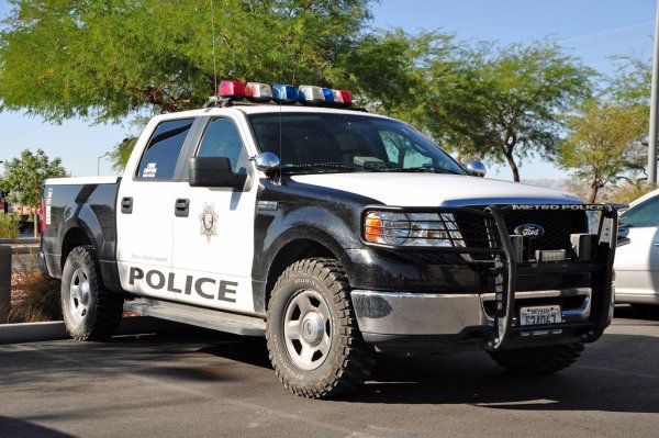 Ford Pickup Police 2010