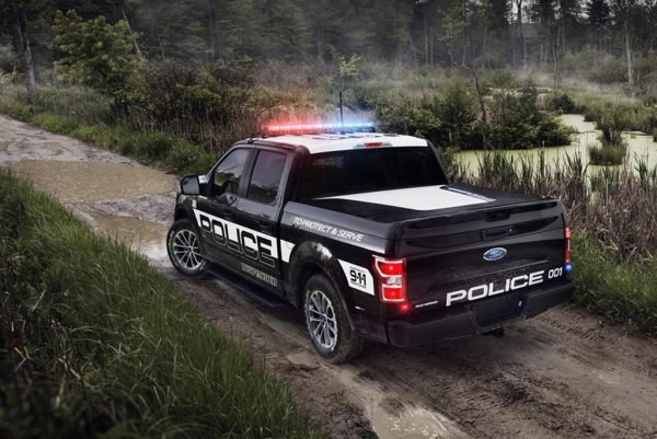 Ford f150 Police