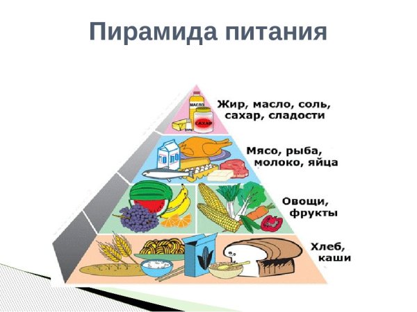 Картинки пирамида питания здорового человека (49 фото)