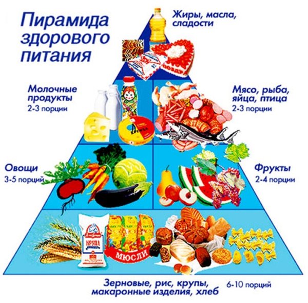 Пирамида питания для детей школьного возраста