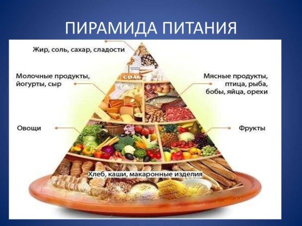 Пирамида питания здорового человека