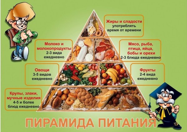 Пирамида здорового питания школьника