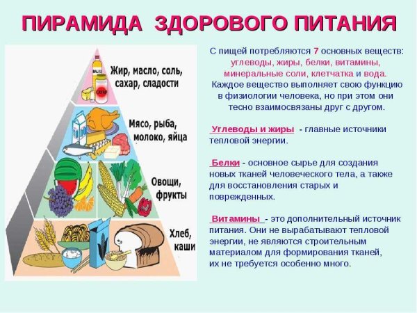 Пирамида здорового пит