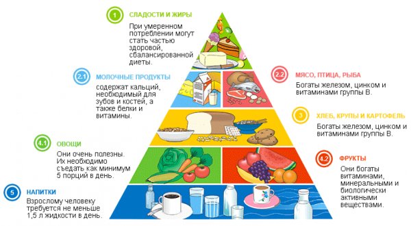 Пирамида питания белки жиры углеводы