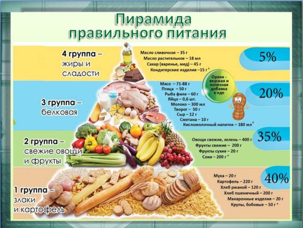 Пирамида питания здорового человека воз