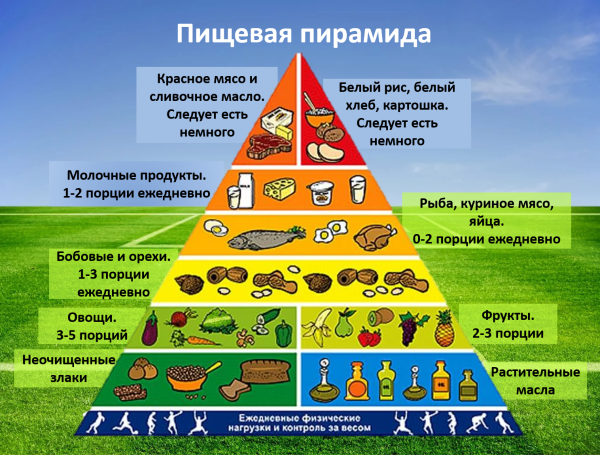 Продуктовая пирамида