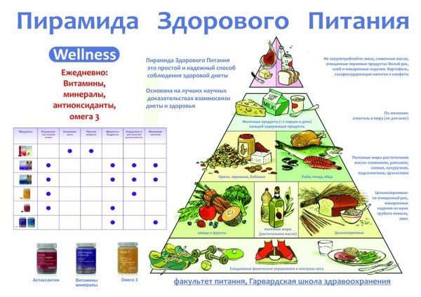 Пирамида питания здорового человека