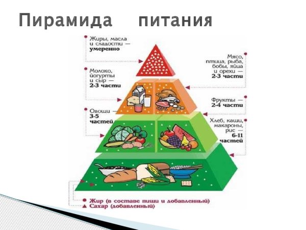 Пирамида питания пищевая пирамида для детей