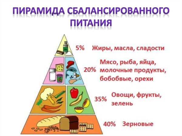 Пирамида питания пищевая пирамида школьника
