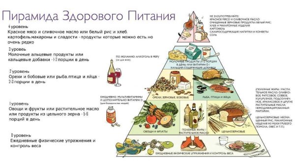 Правильное питание пирамида питания