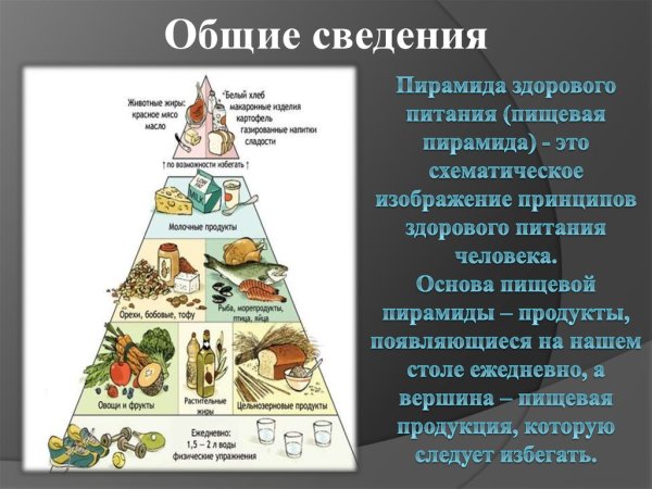 Пирамида питания здорового человека