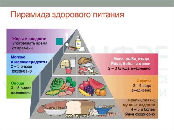 Белки жиры углеводы пирамида