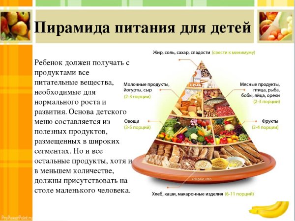 Пирамида здорового питания белки жиры углеводы