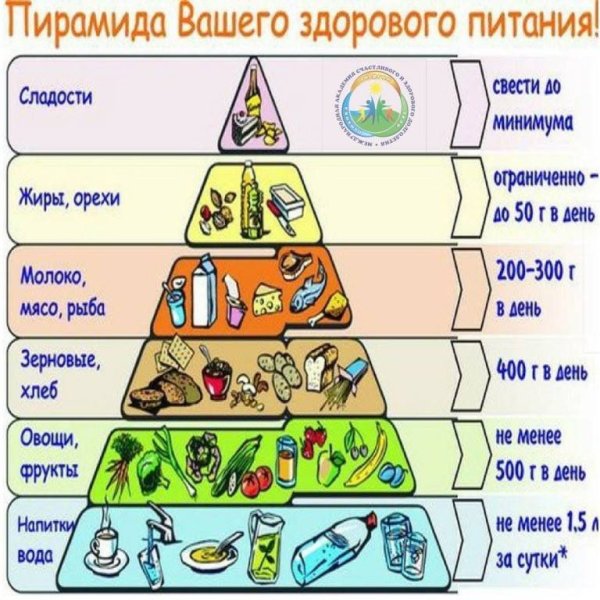 Пирамида продуктов питания